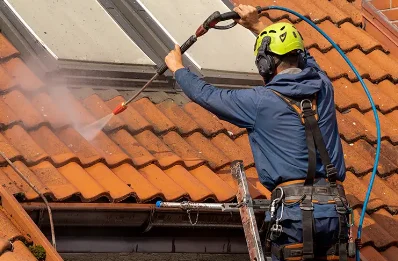 Démoussage et hydrofuge de toiture à Pelouse
